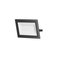 Фото товара - Прожектор Outdoor FL001-L50B6K